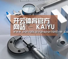 研发能力标题一(图1)